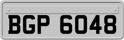 BGP6048