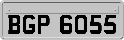 BGP6055