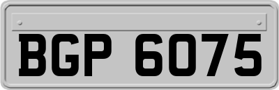 BGP6075