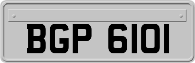 BGP6101
