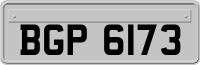 BGP6173