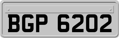 BGP6202