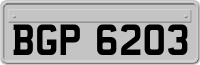BGP6203