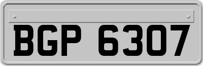 BGP6307
