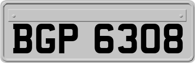 BGP6308