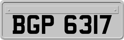 BGP6317