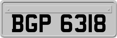 BGP6318