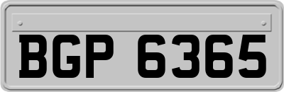 BGP6365
