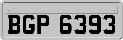 BGP6393