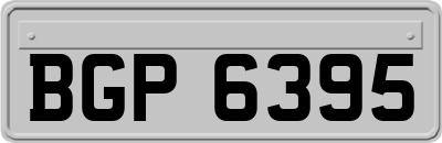 BGP6395