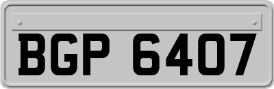 BGP6407