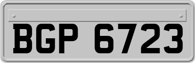 BGP6723