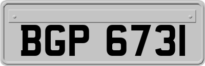 BGP6731