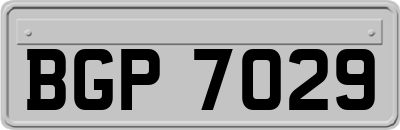 BGP7029