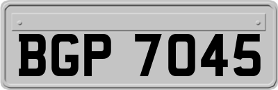 BGP7045
