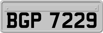 BGP7229