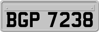 BGP7238