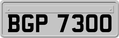 BGP7300