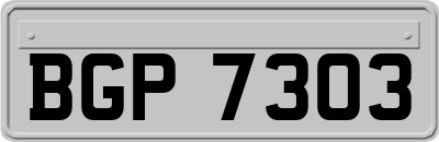 BGP7303