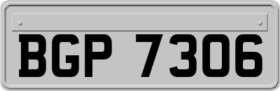 BGP7306