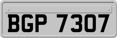 BGP7307