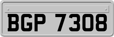 BGP7308
