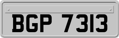 BGP7313