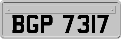 BGP7317