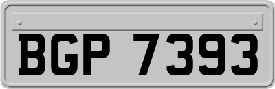 BGP7393
