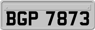 BGP7873