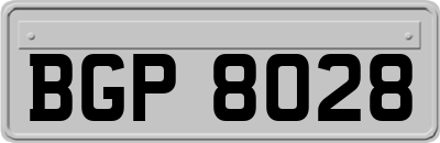 BGP8028