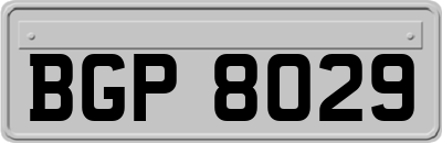 BGP8029