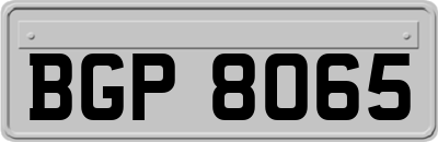 BGP8065