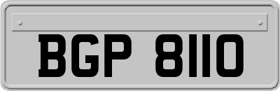 BGP8110