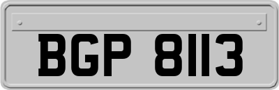 BGP8113
