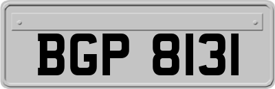 BGP8131