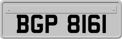BGP8161