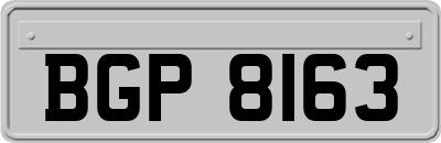 BGP8163
