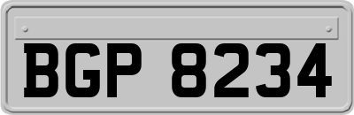 BGP8234