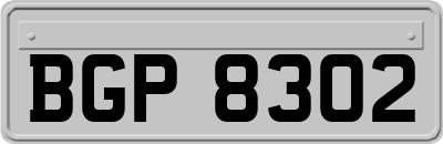 BGP8302