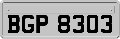 BGP8303