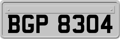BGP8304