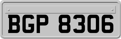 BGP8306