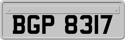 BGP8317