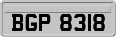BGP8318