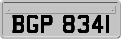 BGP8341