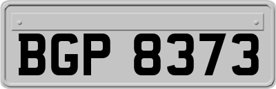 BGP8373