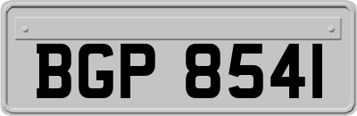 BGP8541