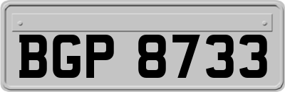 BGP8733
