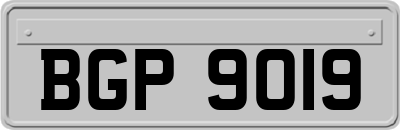 BGP9019